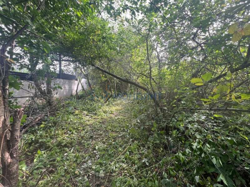 земельный участок 1 056 соток Центральная улица село Федяково